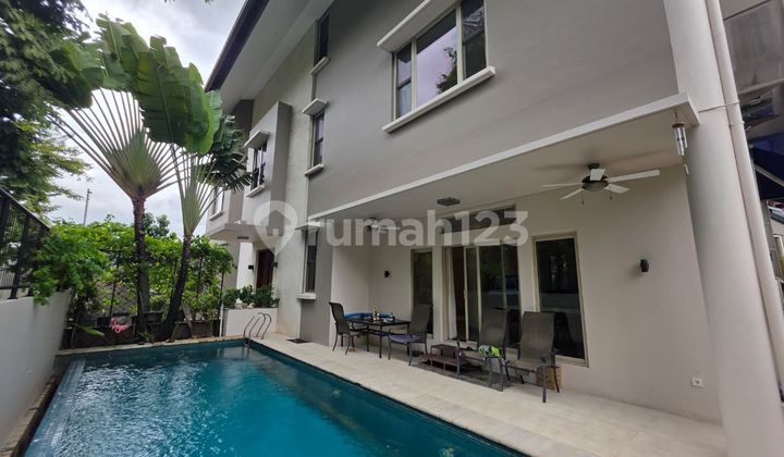 Ready to Occupy Spectacular View, SCBD Area, Newly Renovated, Swimming Pool Available, Pets Allowed Ready to Occupy Spectacular View, SCBD Area, Newly Renovated, Swimming Pool Available, Pets Allowed