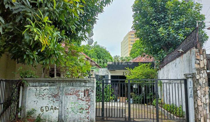 Rumah Menteng Di Jl Surabaya Bisa Jadi Kantor, Strategis  2