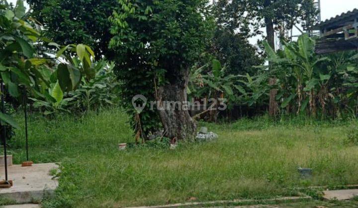 Rumah Lama Jual Tanah Cocok Untuk Bikin Townhouse 2