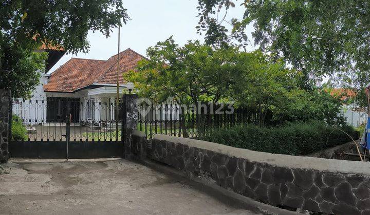 Rumah Pinggir Jalan Raya di Kesambi  1