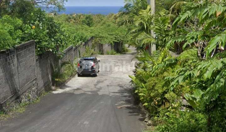 Premium Land 310 m2 near airis Pecatu idr 6.5jt/m2 Premium Land 310 m2 near airis Pecatu idr 6.5jt/m2