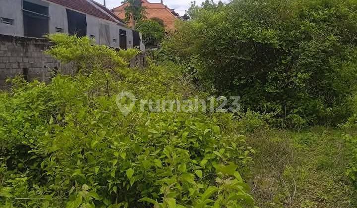 Cheap Land 1100M2 Jln Jepun Purigading Jimbaran Idr 5.5Jt/M2 Cheap Land 1100M2 Jln Jepun Purigading Jimbaran Idr 5.5Jt/M2
