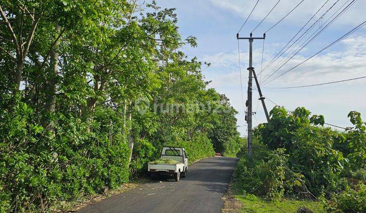 Lease hold land main road Balangan 38 ara Idr 14 mill/Ara/years