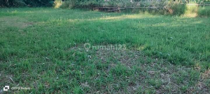 Cheap land in Goagong 660 m2 IDR 2.8 million/m2 2