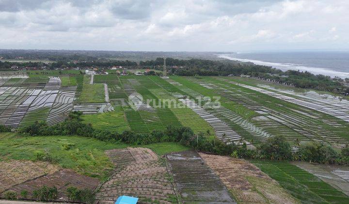 Free hold land at kelating beach Tabanan 8195 IDR 3,250 Mill/m2 2