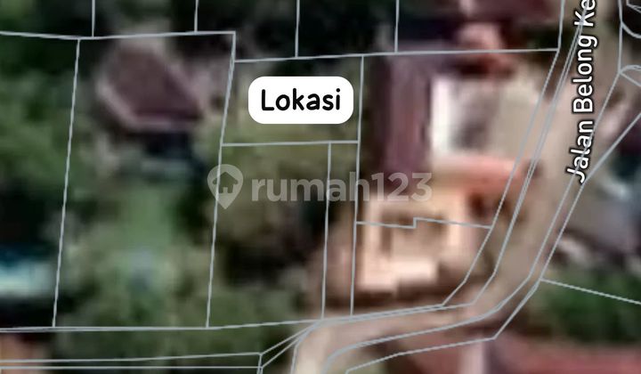 Tanah murah 124m2 belongkeker jimbaran idr 700 jt global Tanah murah 124m2 belongkeker jimbaran idr 700 jt global