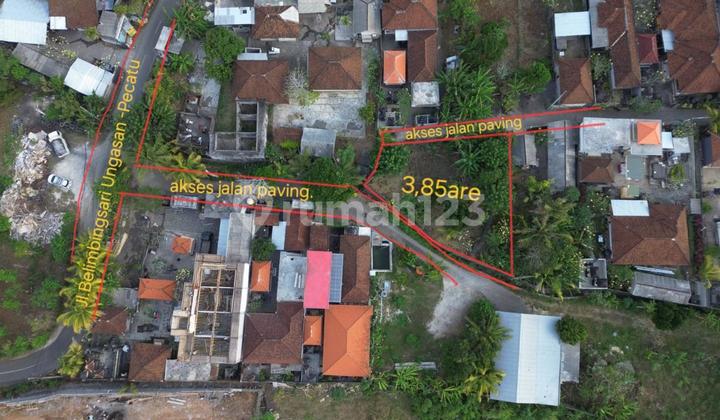 Free hold land at Belimbing sari Pecatu 385m2 idr 5 Mill/m2