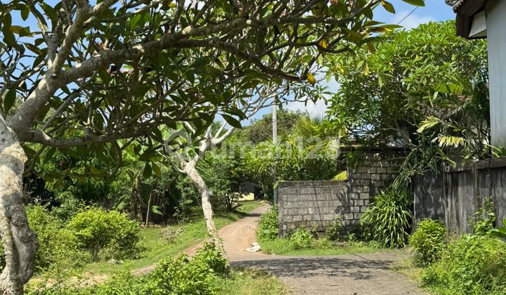 Tanah Murah Dekat Nirmala Ungasan 1000m2 Idr 5,750jt/m2