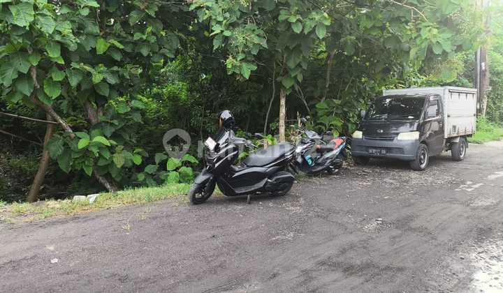 Cheap Land 1000 M2 Adjacent to Pecatu Graha IDR 6,750jt/m2