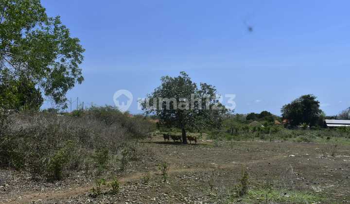 Tanah Murah 15250M2 Dekat Pantai Pandawa Idr 5,5Jt/M2 Tanah Murah 15250M2 Dekat Pantai Pandawa Idr 5,5Jt/M2