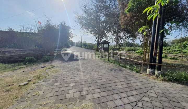Beachfront land for sale in Ketewel Sanur, 2493 m², IDR 8.5 million/m² Beachfront land for sale in Ketewel Sanur, 2493 m², IDR 8.5 million/m²