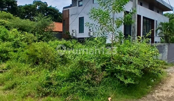 Lease Hold 10 Are Near Balangan Beach Idr 19 Mill/Are/Years Lease Hold 10 Are Near Balangan Beach Idr 19 Mill/Are/Years