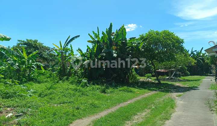 Tanah Murah 2800m2 Dkt Pantai Tanjung Benoa Nusa2 Idr 5,5jt/m2 Tanah Murah 2800m2 Dkt Pantai Tanjung Benoa Nusa2 Idr 5,5jt/m2