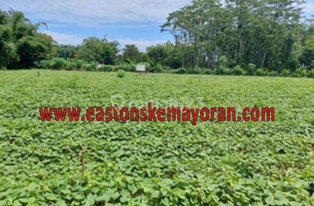 Dijual Kavling Pacet 1