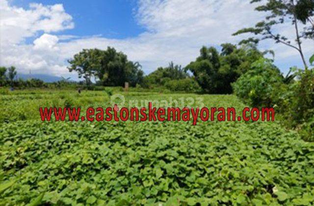 Dijual Kavling Pacet 2