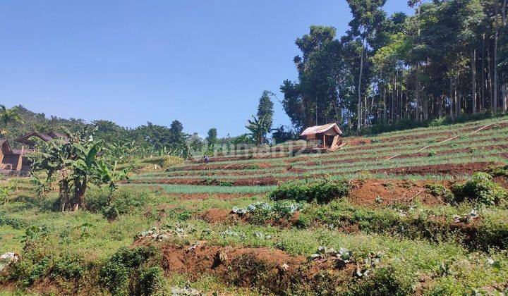 Tanah kebun murah untuk investasi di bandung timur  1