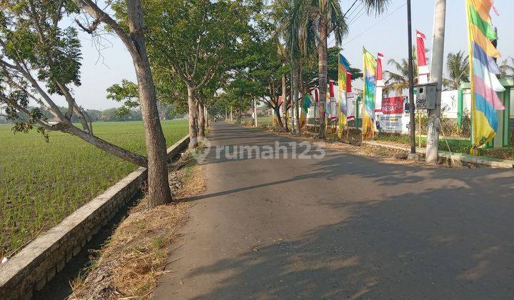 Tanah Sawah Ds Sukawangi Kec Sukawangi Kabupaten Bekasi 1