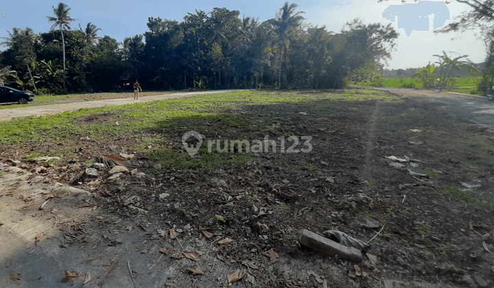 Tanah Di Wates 5 Menit Ke Polsek Panjatan SHM Siap Ajb Non Kavlingan Jogja 1