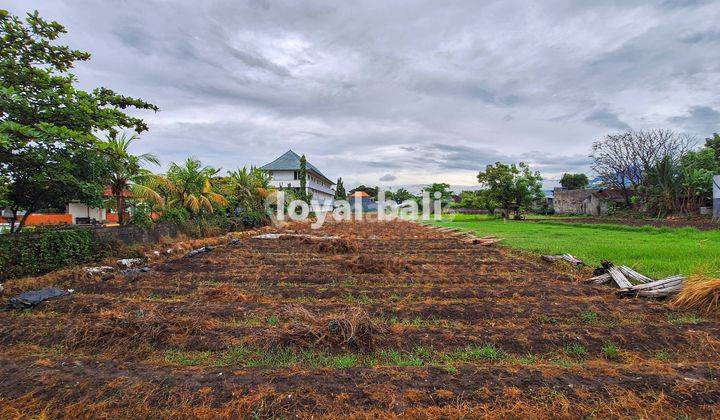 Tanah 20 Are, 2.000m2 Excellent Land In Popular Area In Buleleng, Bali 2