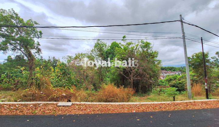 Tanah 15.000m² Land In Of Tegal Linggah, Buleleng, Bali 1