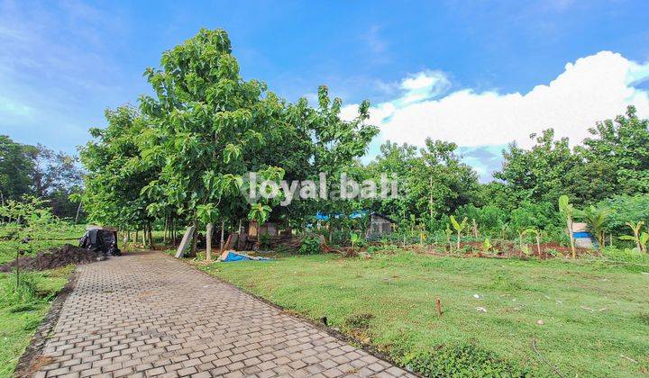 Tanah, Plot Land Ready To Build In Beautiful Environment In Kutuh, Bali 1