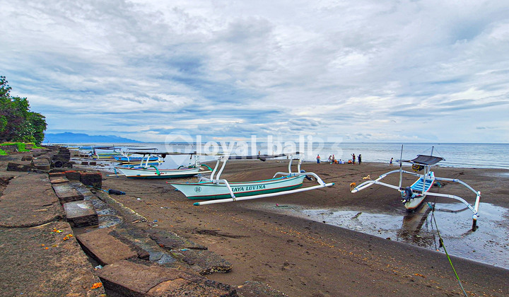 Guest House for Lease in Lovina, Buleleng, Bali Guest House for Lease in Lovina, Buleleng, Bali