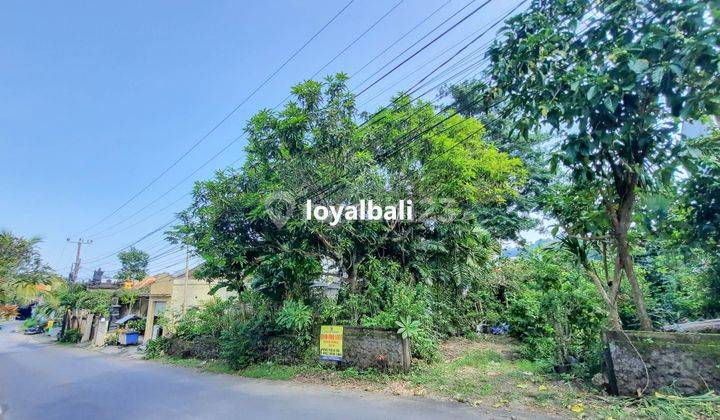 550m² Land On The Main Road In Goa Gong, Jimbaran, Badung, Bali 1