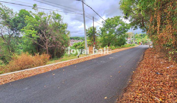 Land 15,000m² Land In Of Tegal Linggah, Buleleng, Bali 2