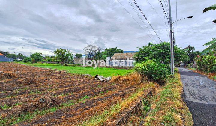 Tanah 20 Are, 2.000m2 Excellent Land In Popular Area In Buleleng, Bali 1