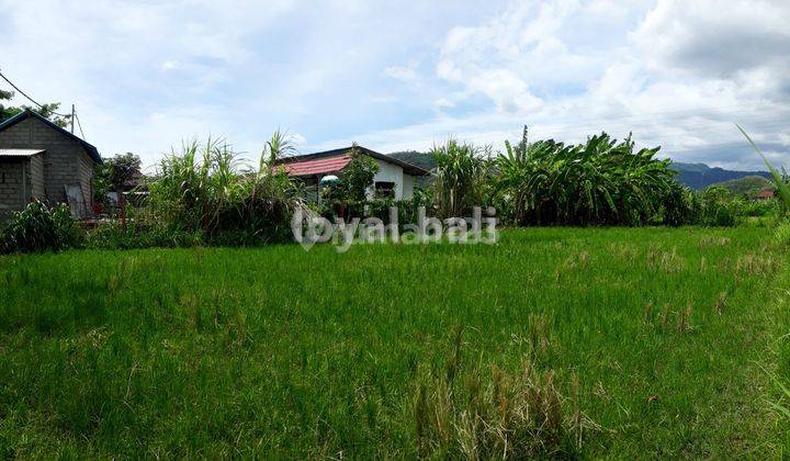 Tanah, Land on the side of main road in Bypass IB Mantra, Klungkung, Bali 2