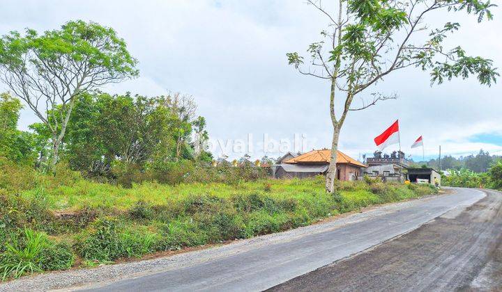 Tanah 3.700m² Land In Of Kintamani, Bali 1