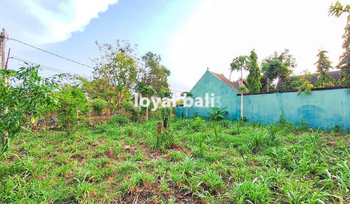 Tanah, Land 500m² Near Jimbaran Beach, Badung, Bali 2