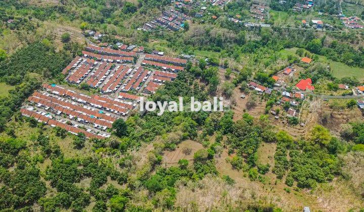 Tanah 15.000m² Land In Of Tegal Linggah, Buleleng, Bali 2