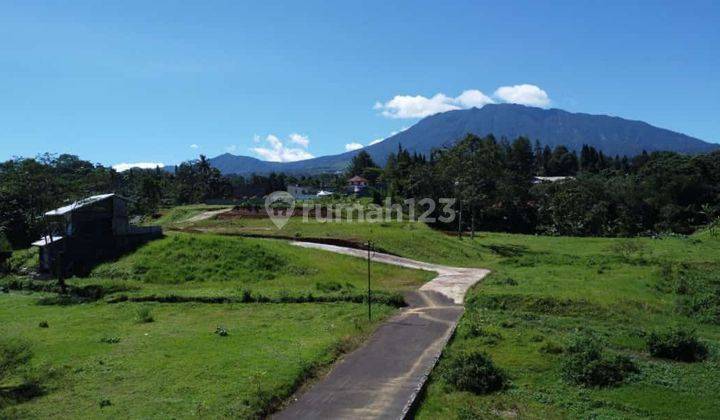 Investasi Tanah Kavling Villa Terbaik di Puncak Megamendung Bogor 2