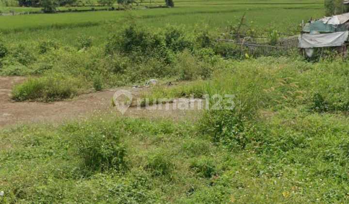 FOR SALE Tanah cocok utk lahan pabrik Dekat Tol Cileunyi Di Rancaekek FOR SALE Tanah cocok utk lahan pabrik Dekat Tol Cileunyi Di Rancaekek