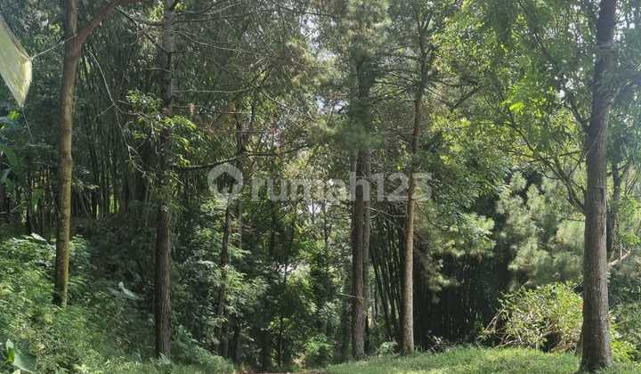 DIJUAL  Tanah di Lembang 