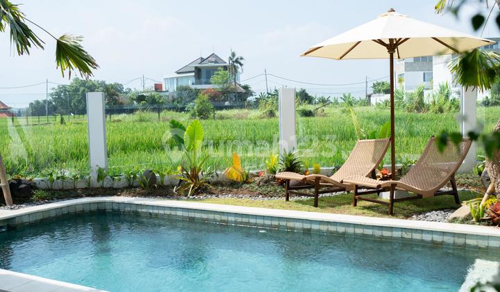 Luxury New Villa with Rice Field View Near Mengening Beach Cemagi Bali