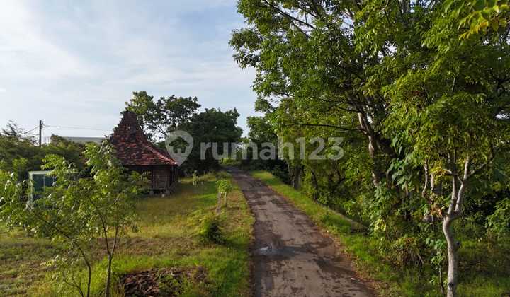 Land with Sea View 2km from the Planned North Bali Airport