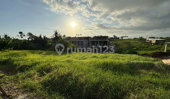Land 580m2 in a Villa Environment Near Nyanyi Beach, Tabanan.