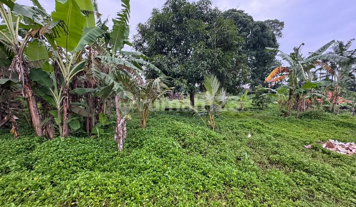 Tanah Strategis Kawasan Villa Di Kemenuh Ubud Gianyar Bali