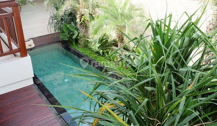 Luxury Villa Baru di Umalas Kerobokan, 5 Menit Ke Pantai Canggu 2