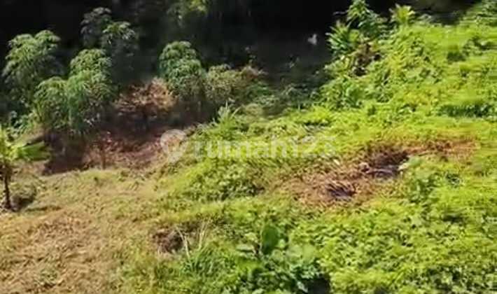 Tanah Los Sungai Lingkungan Resort Di Tegallalang Gianyar Bali Tanah Los Sungai Lingkungan Resort Di Tegallalang Gianyar Bali