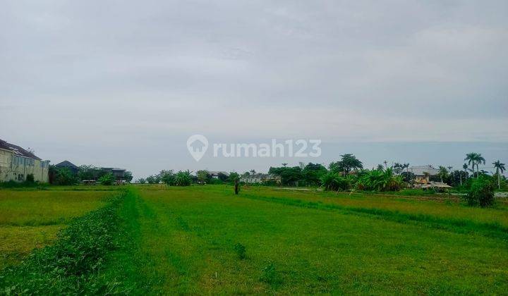 Beach land in a luxury villa environment in central Lovina 2