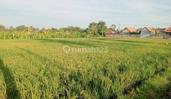 Murah, Tanah di jalan utama Ir Sutami Ubud, boleh ambil 1400m2 2