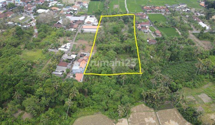 Tanah view hamparan sawah akses jalan 7 meter aspal 2