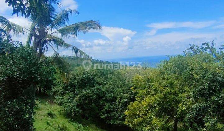 Tanah full view laut di lovina cocok untuk villa pribadi atau komersil 1