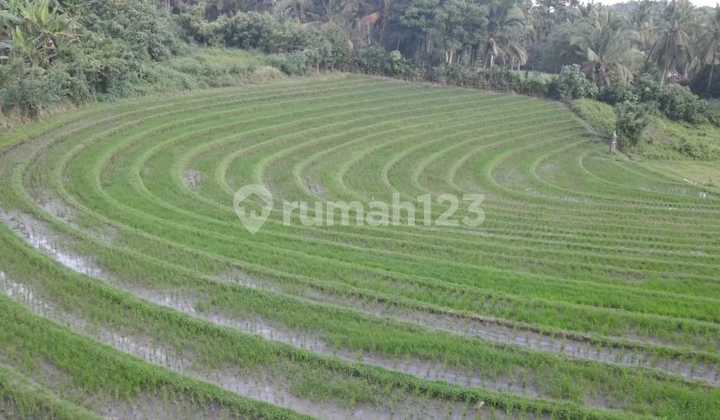 Commercial Land with Sea View 500M to Bonian Beach