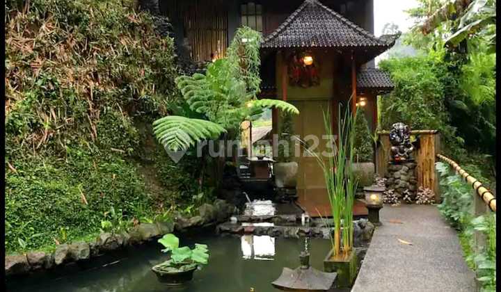 Villa Mewah View Sungai Dan Hutan Di Ubud Tegalalang