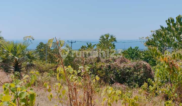 Spacious Land with Full Ocean View in Tianyar, Karangasem, Bali Spacious Land with Full Ocean View in Tianyar, Karangasem, Bali