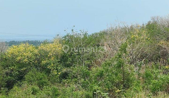 Tanah datar full view laut di Lovina, Akses jalan 5 meter 2